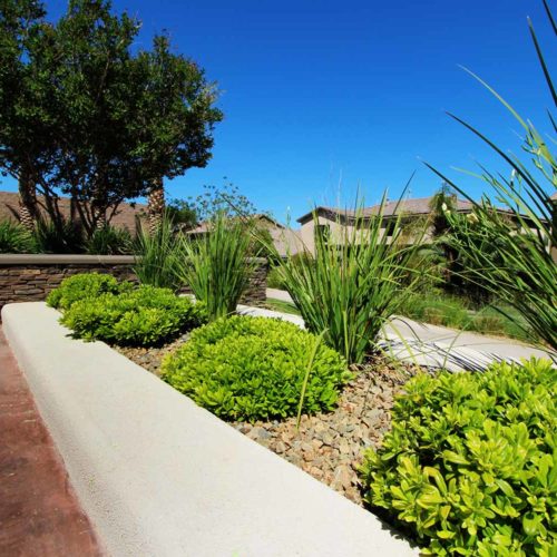 Aventine - Landscape Project by Sunstate Companies of Las Vegas