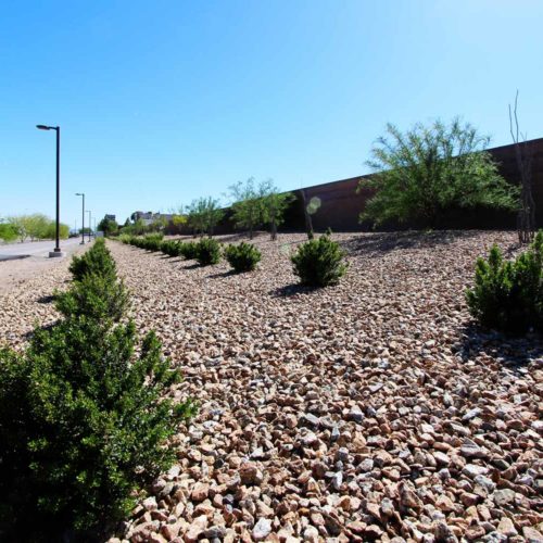 Rose Ridge - Landscape Project by Sunstate Companies of Las Vegas